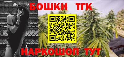 индика Ливны