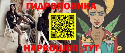 стаф Лесосибирск
