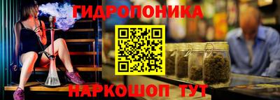 стаф Лесосибирск